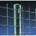 PVC de alta qualidade revestido Holland Mesh Fence